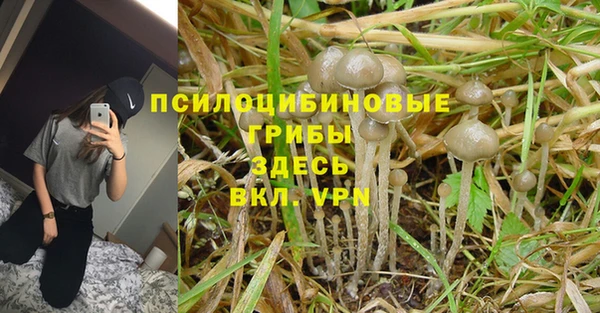 гашишное масло Саяногорск