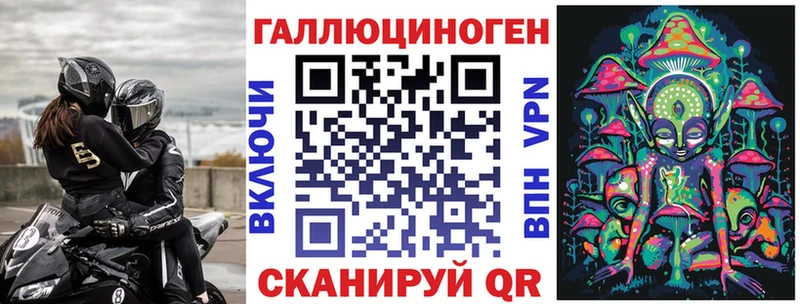 Псилоцибиновые грибы Cubensis  Новое Девяткино 
